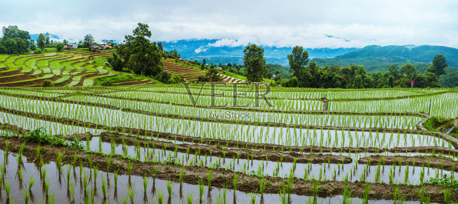 山野景观。在雨季。农村的村庄。照片摄影图片