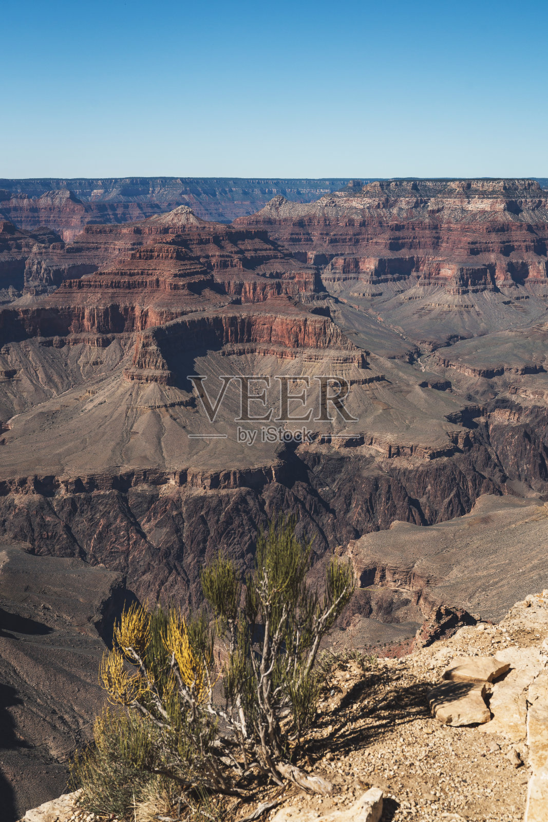 大型州立公园照片摄影图片