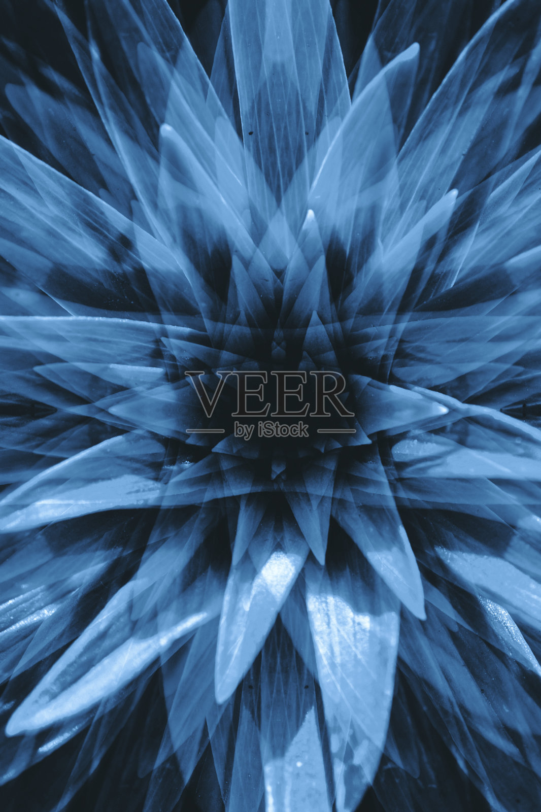 近距离观察，你会看到一种有着长长的叶子的超现实大植物的幻觉。对酒精和毒品主题的消极抽象幻觉。大麻或酒精的致幻热带效应。迷幻药的效果。大麻毒品。照片摄影图片