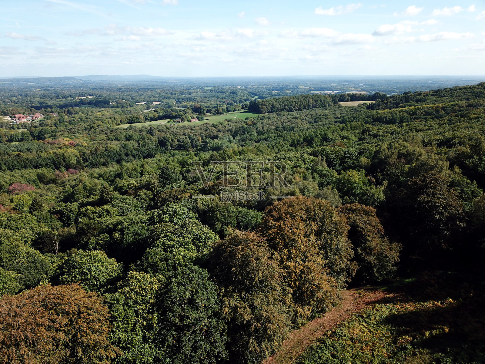 树顶在阳光下的鸟瞰图照片摄影图片