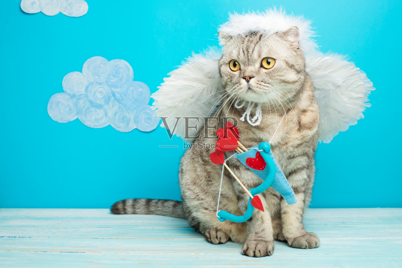 猫丘比特，天使在蓝色的背景与云和空间为设计师照片摄影图片