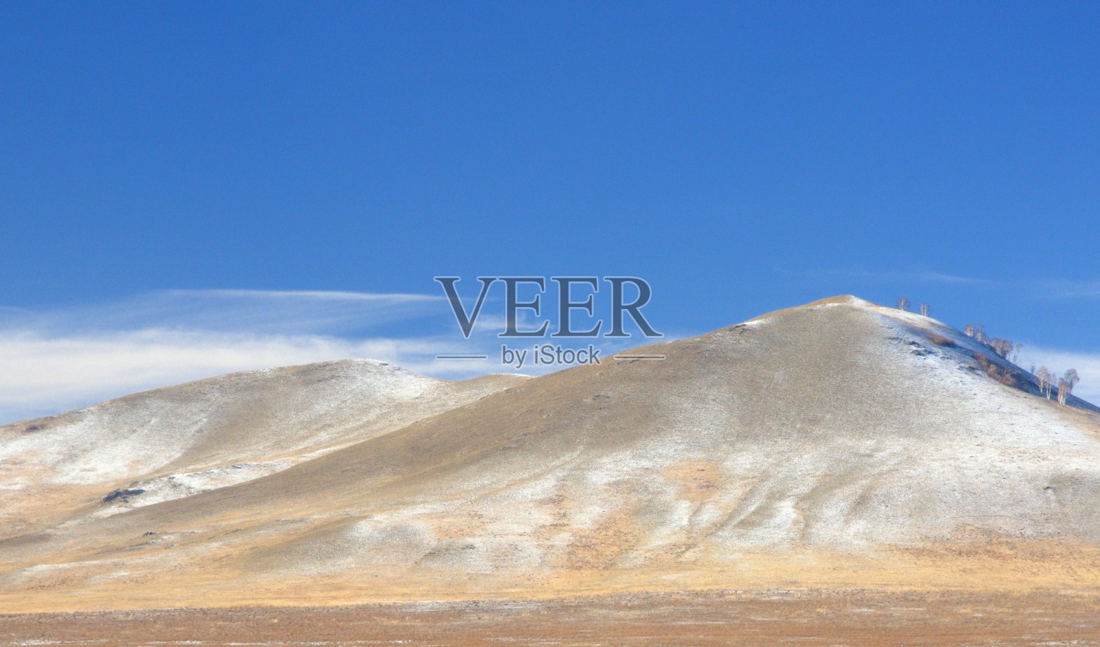 冬天的风景，平滑的山丘覆盖着黄色的干草，光秃秃的树木和在深蓝色的天空下的第一场雪照片摄影图片