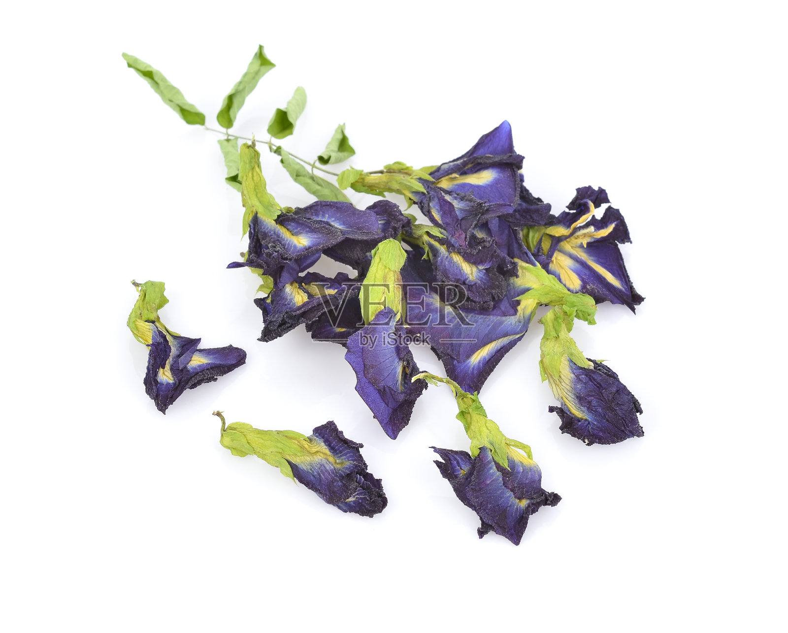 孤立在白色背景上的阴蒂或天竺花照片摄影图片