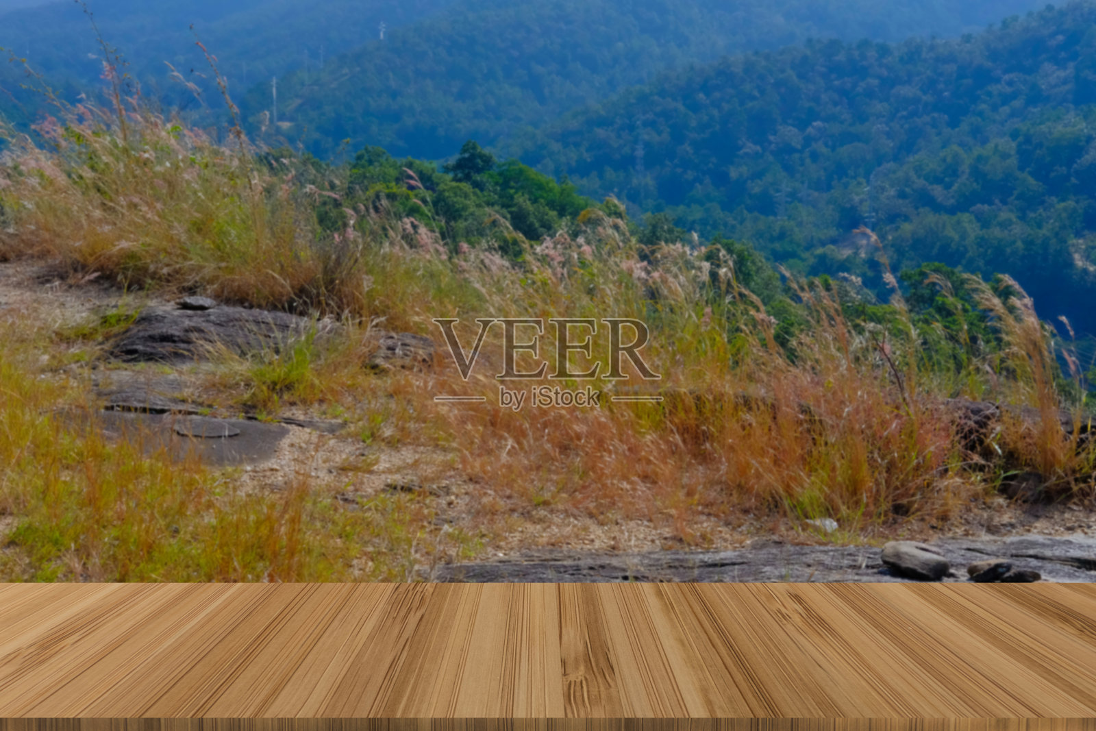 森林山地自然，夏季风景景观照片摄影图片