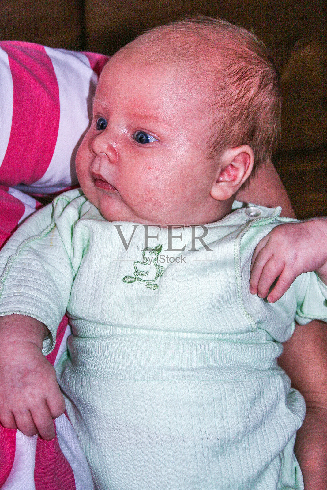 新生男孩肖像照片摄影图片