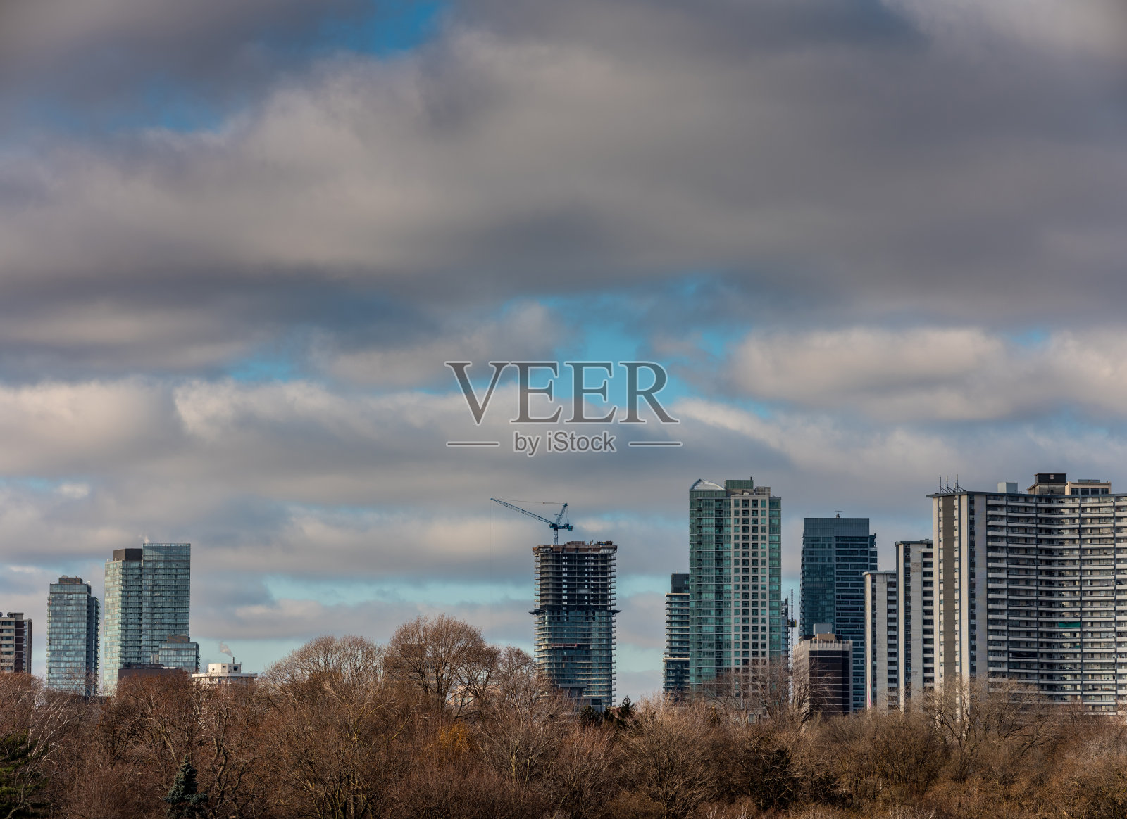 多伦多市区城市照片摄影图片