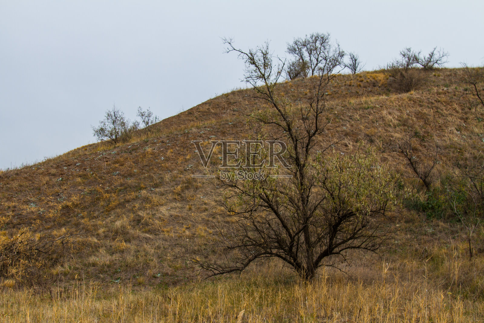 秋天Tavrian草原照片摄影图片