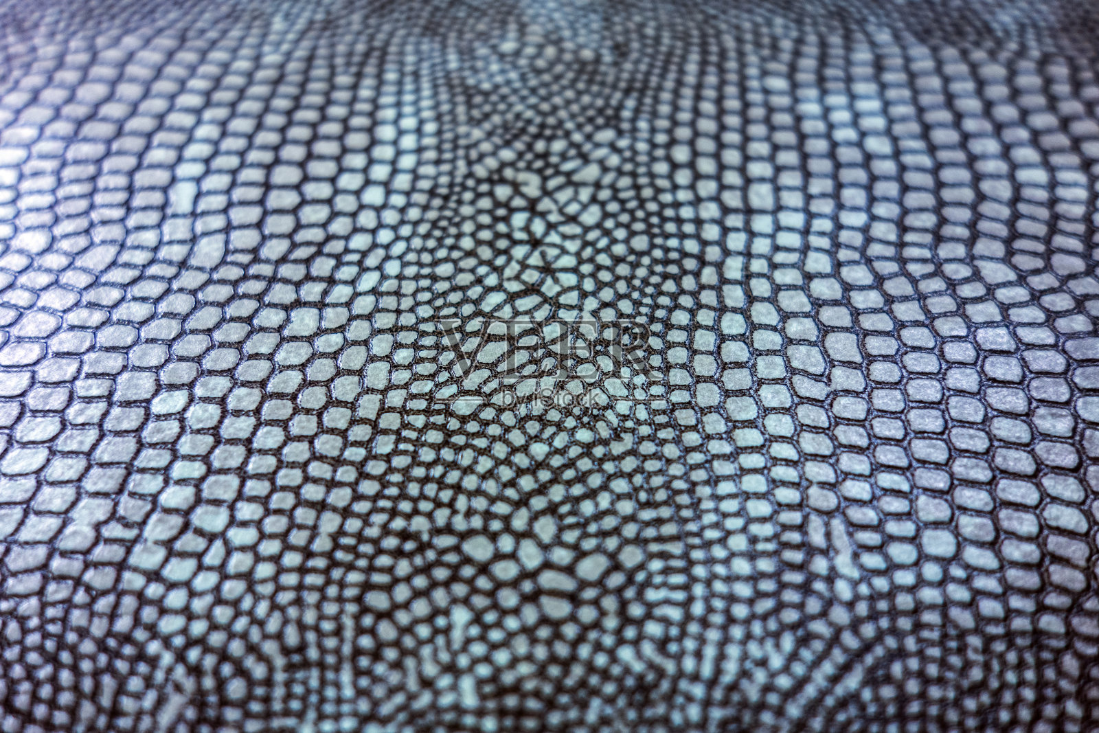 彩色真实蛇皮蛇皮动物打印背景照片摄影图片