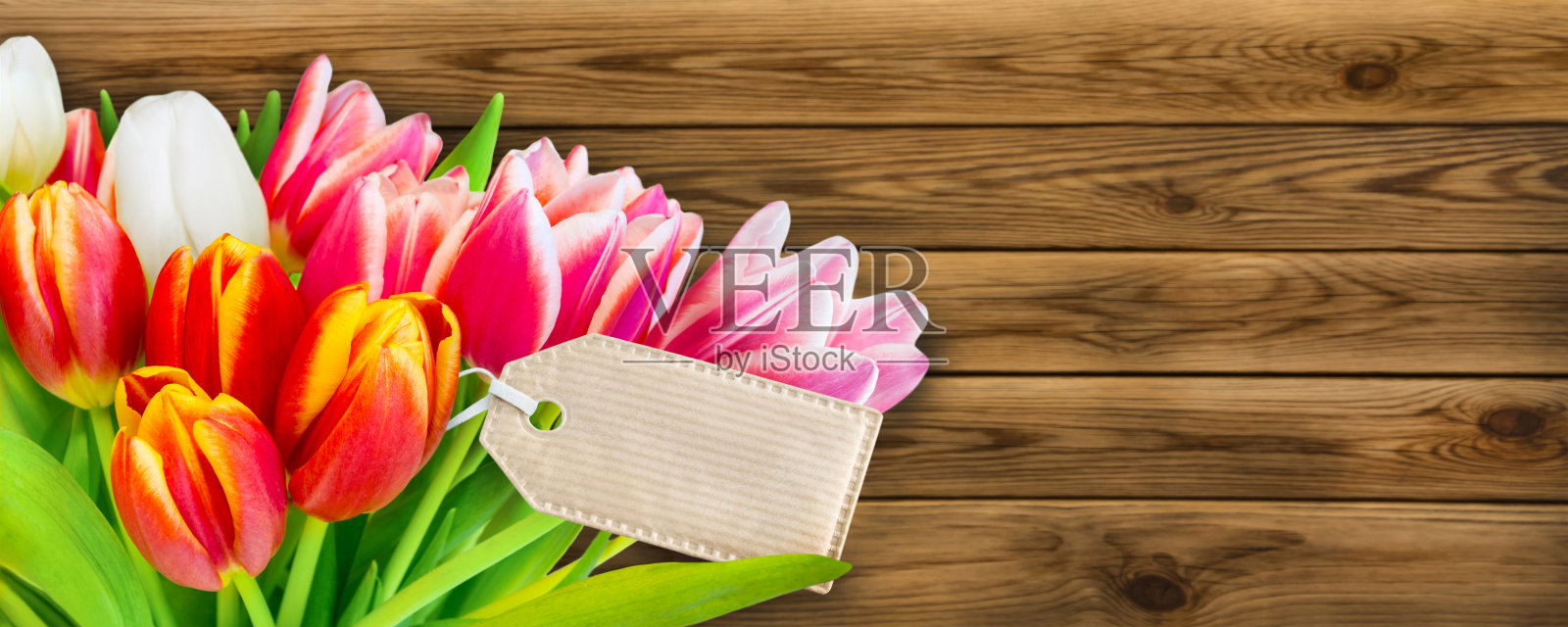 郁金香照片摄影图片