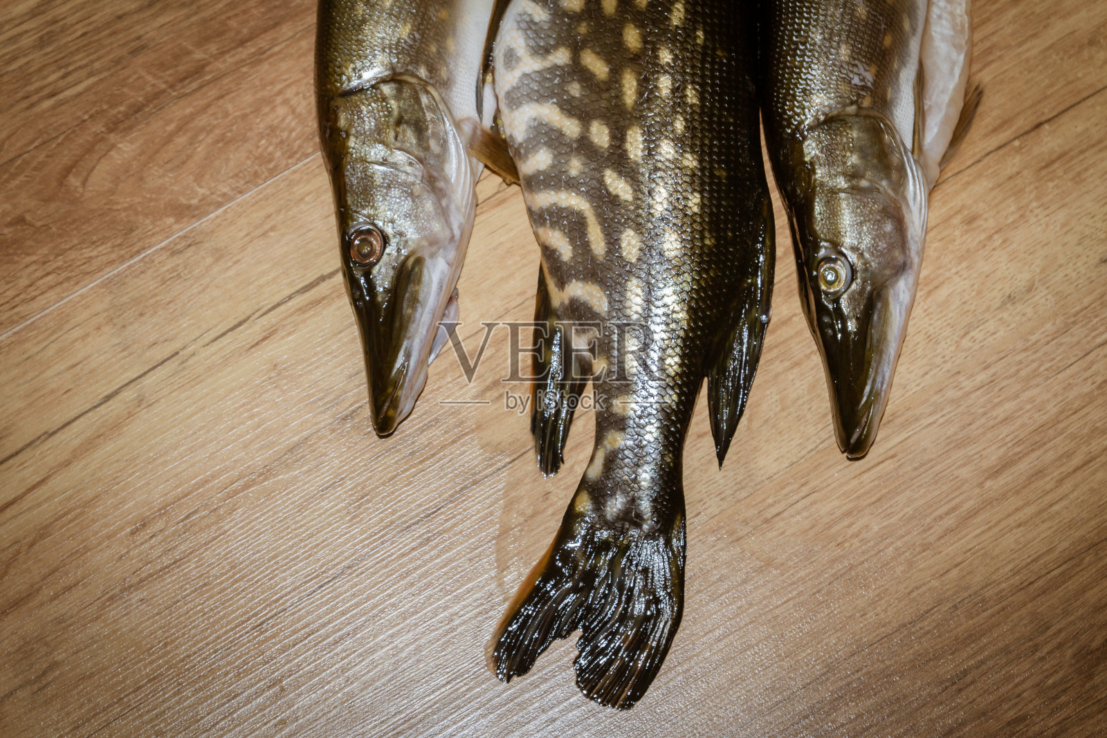 新鲜捕获的梭子鱼躺在木制的背景上照片摄影图片