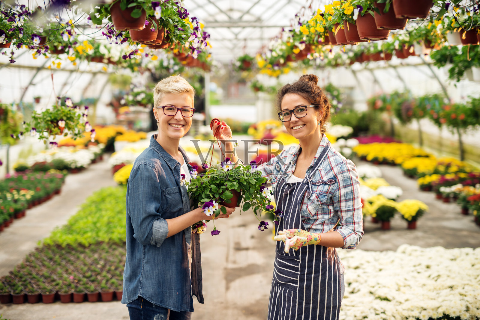快乐的女花商穿着围裙送花给客户，而站在绿色的房子。照片摄影图片
