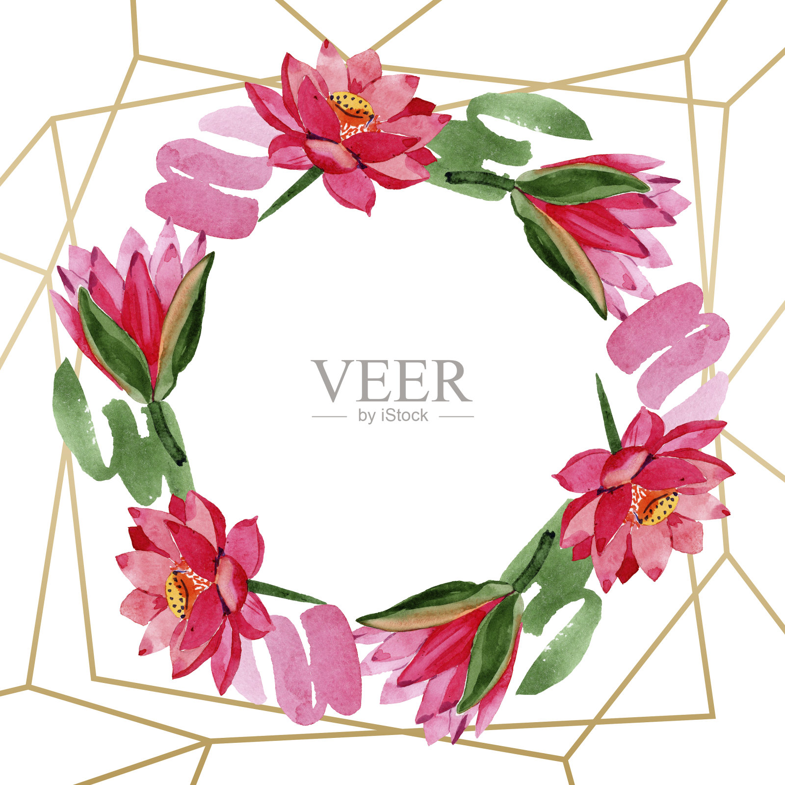 红莲花。水彩背景插图集。帧花环。水彩画手绘。晶体的形状。插画图片素材