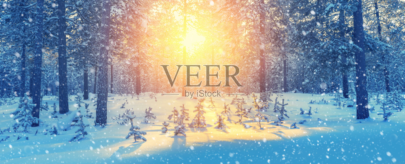 冬天的风景。照片摄影图片