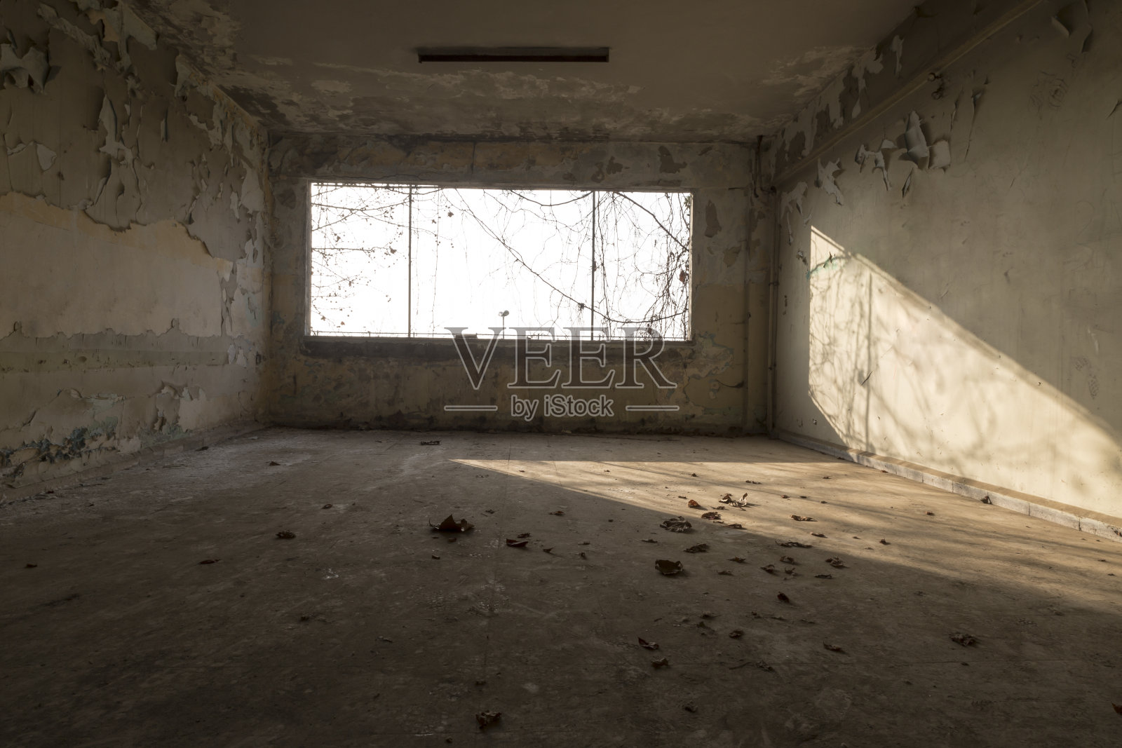 旧校舍废墟照片摄影图片