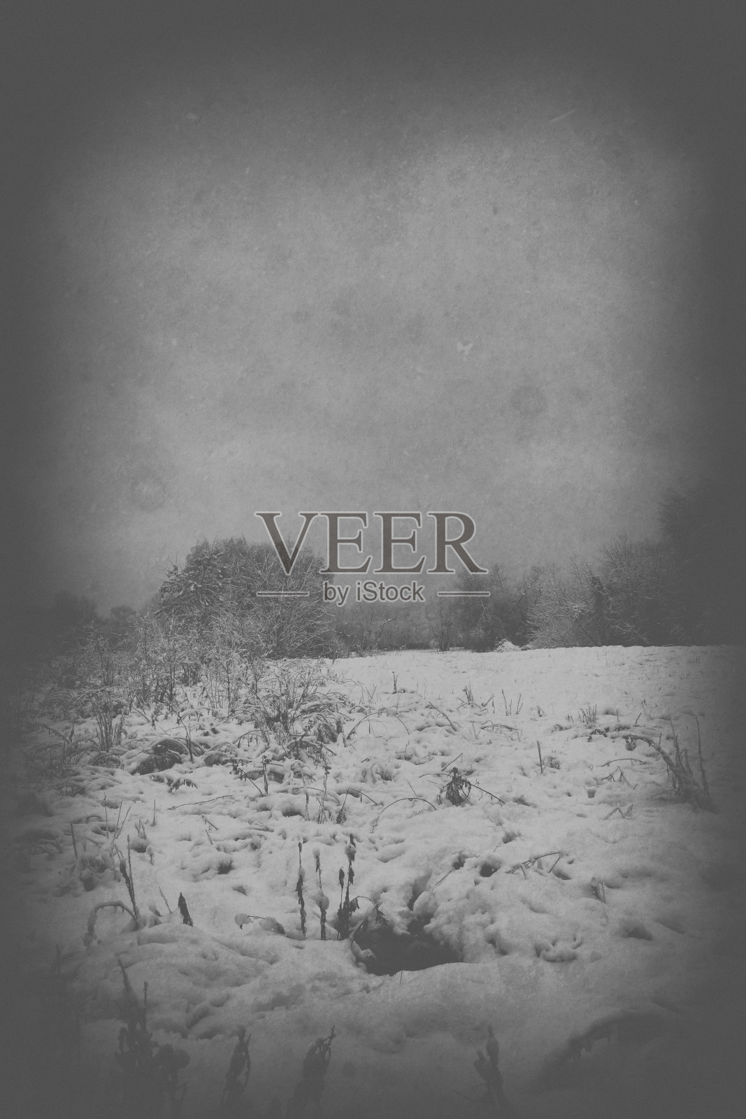 冬天悲伤抑郁的风景照片摄影图片