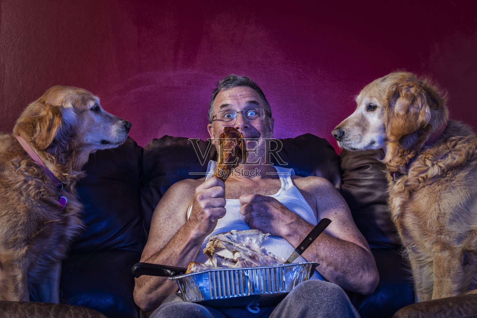 一个人在沙发上吃最后一个火鸡晚餐，两只狗在一旁看着照片摄影图片