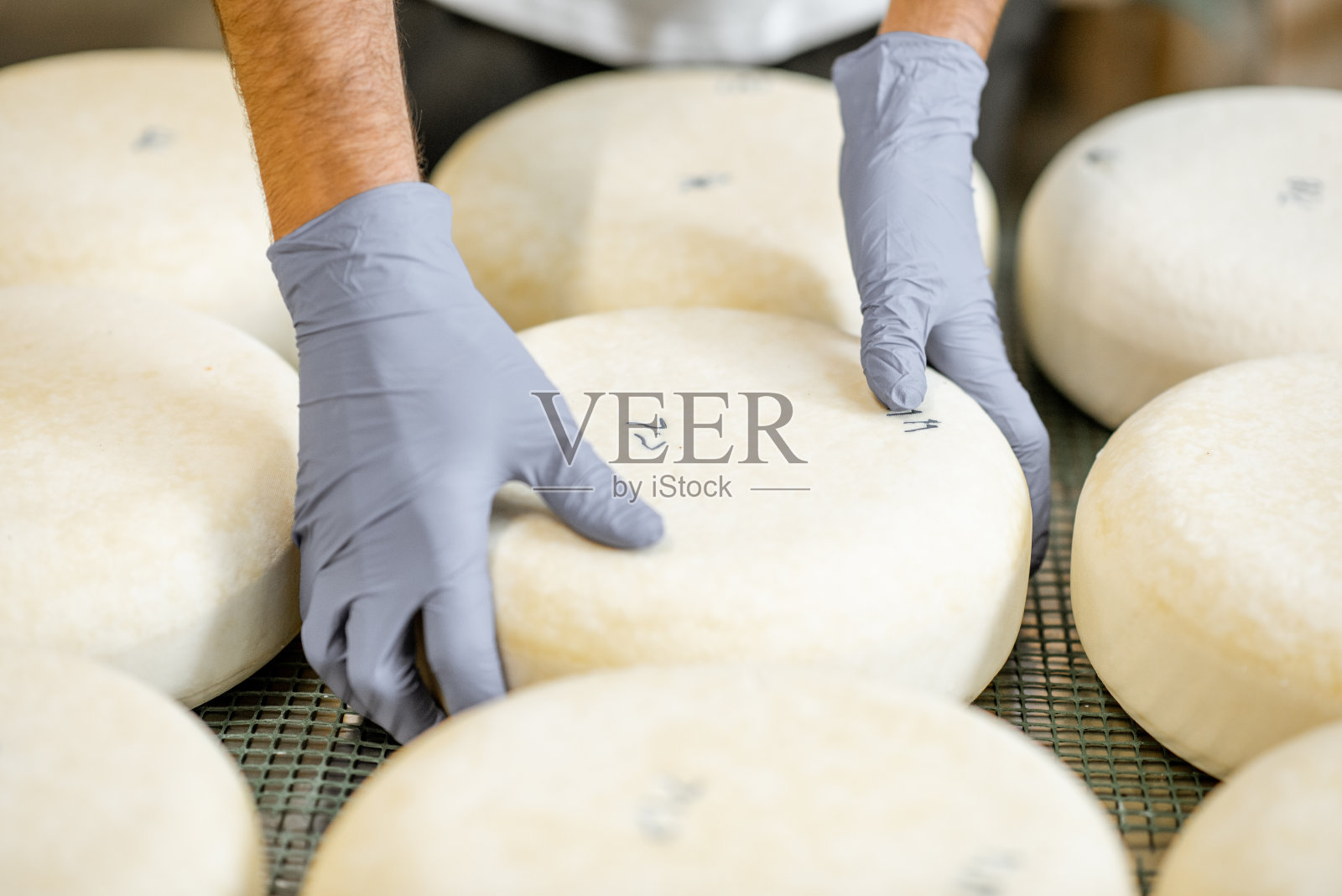 拿起新鲜奶酪轮照片摄影图片