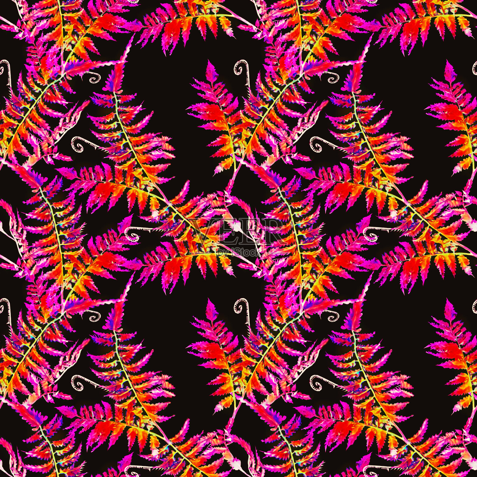 蕨类植物无缝模式。插画图片素材