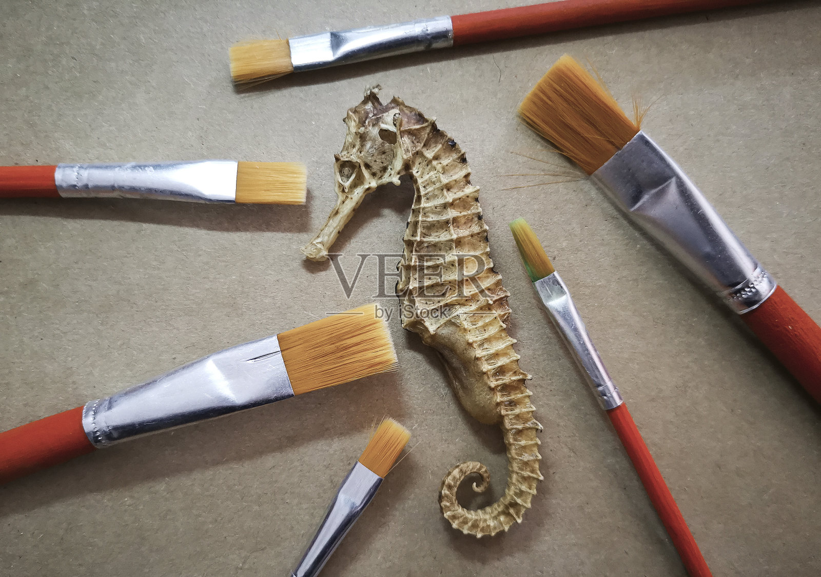 对象照片摄影图片