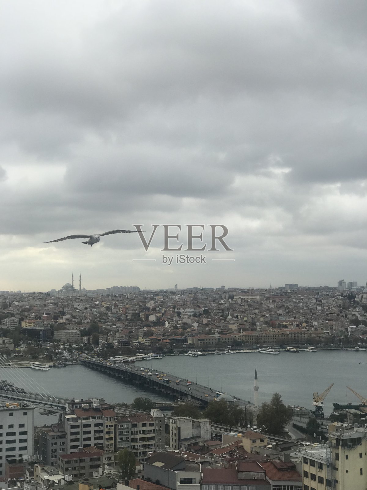 土耳其伊斯坦布尔海峡的照片摄影图片