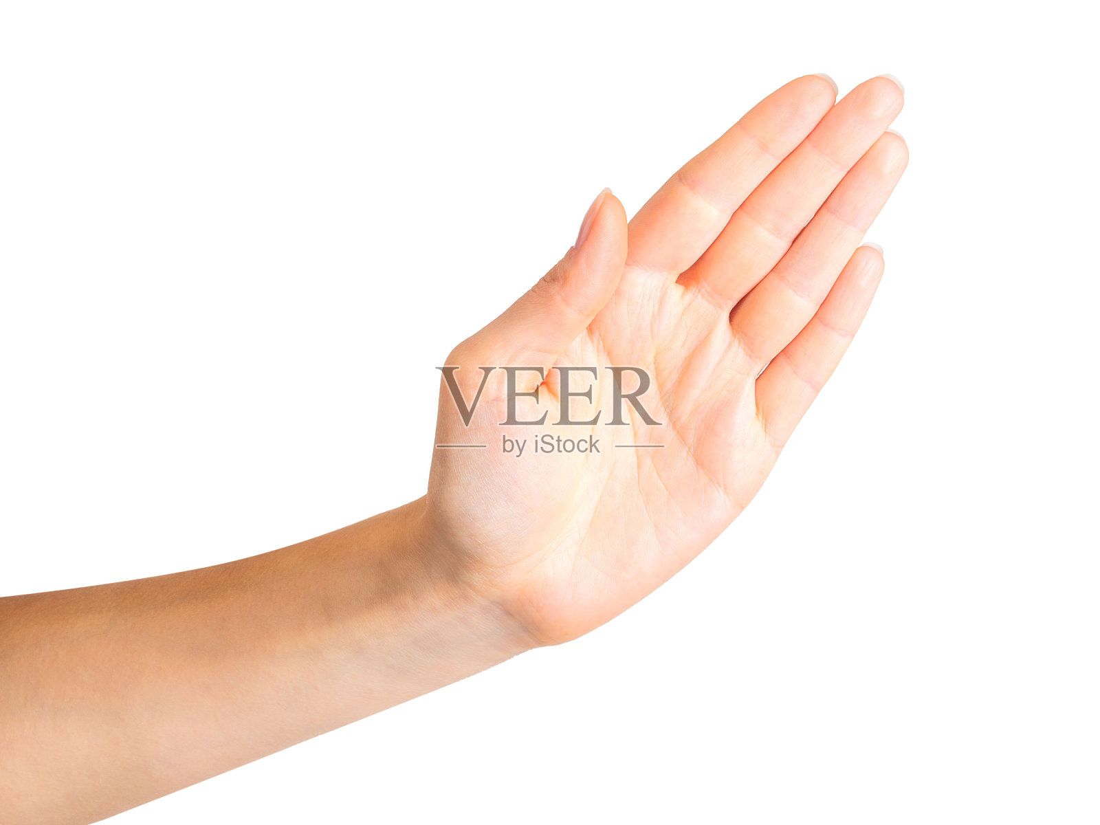 摊开手或拿着东西的女人照片摄影图片