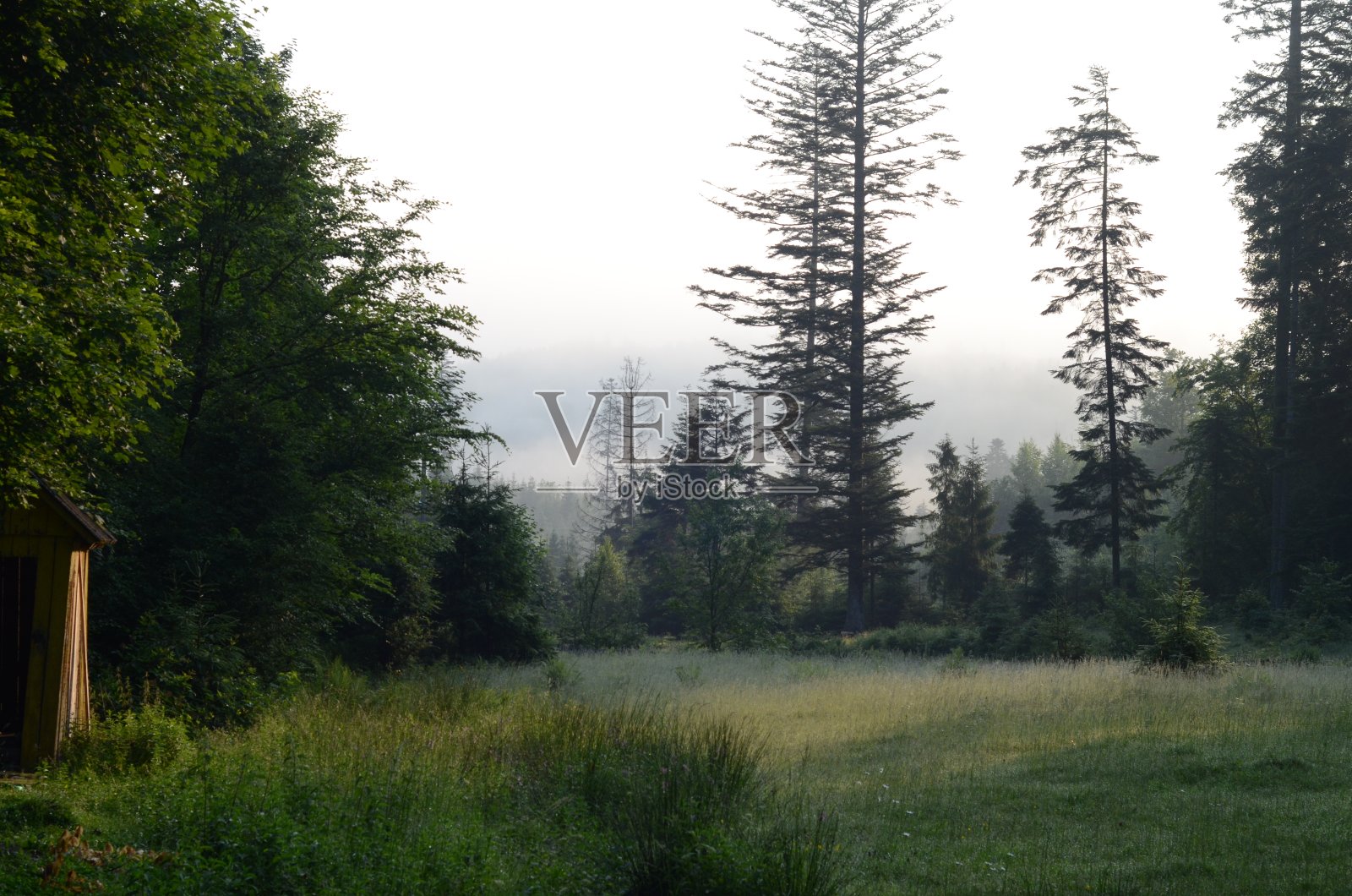 山景观照片摄影图片