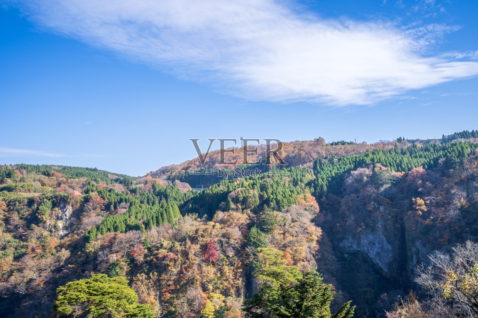 围绕Kokonoe Yume悬索桥(otsurihashi)的Kuju山(Kuju Renzan)，是日本最高的人行道悬索桥。照片摄影图片