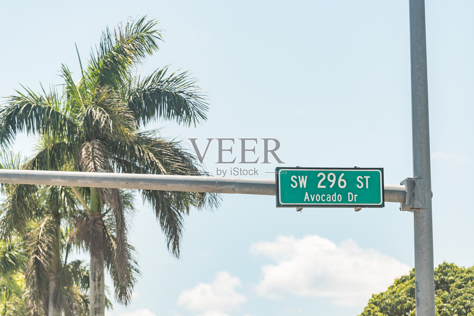 宅地，美国鳄梨驾驶标志与绿色的棕榈树在佛罗里达州公路附近的迈阿密，天空特写照片摄影图片