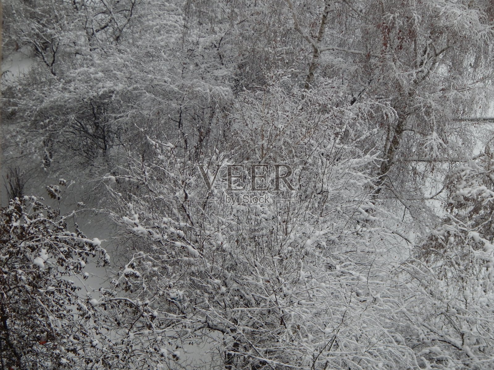 纹理雪花落在街道白色的背景上照片摄影图片