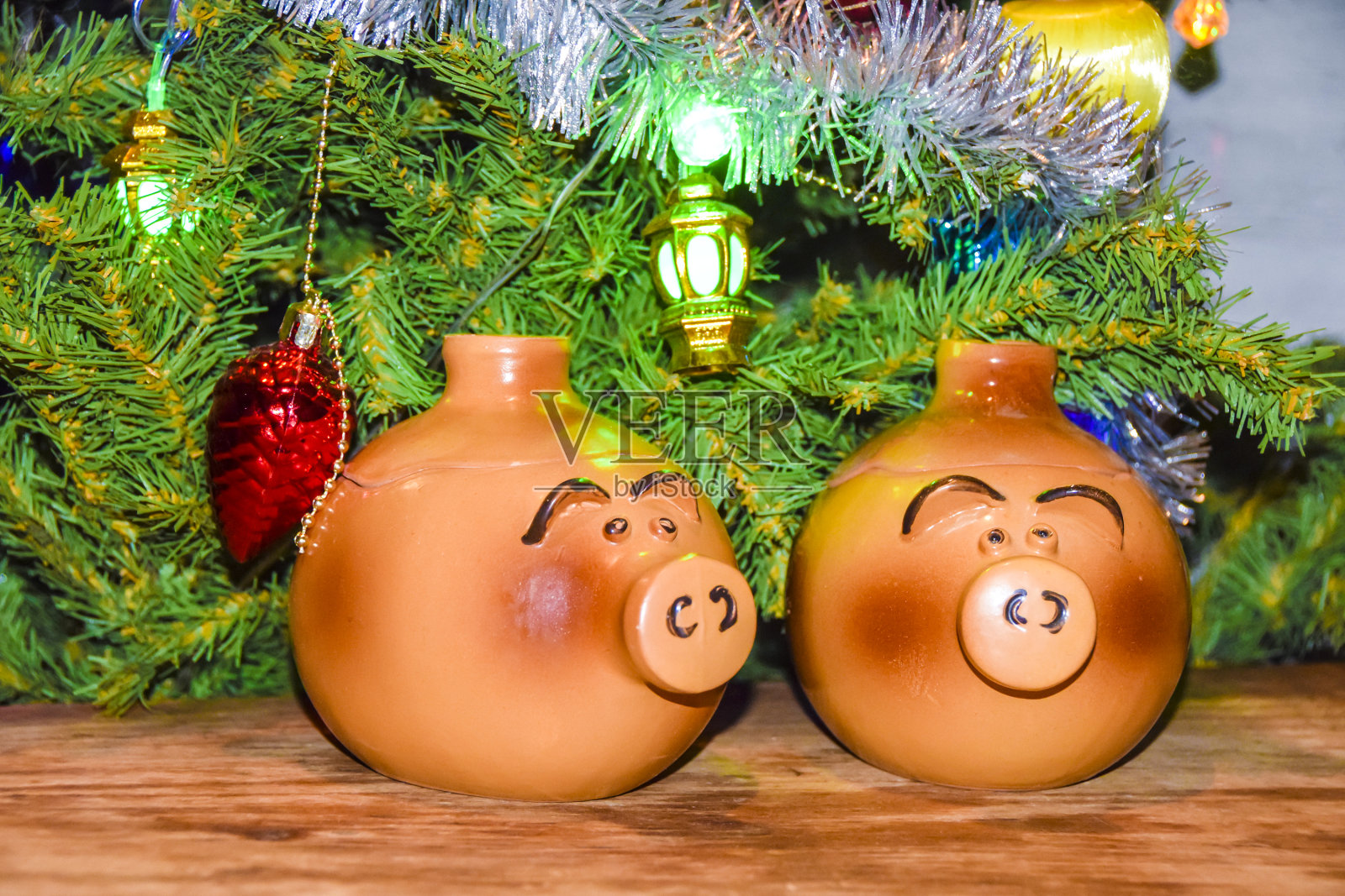 贺年卡猪年小猪娃娃盆的背景上装饰的圣诞树照片摄影图片