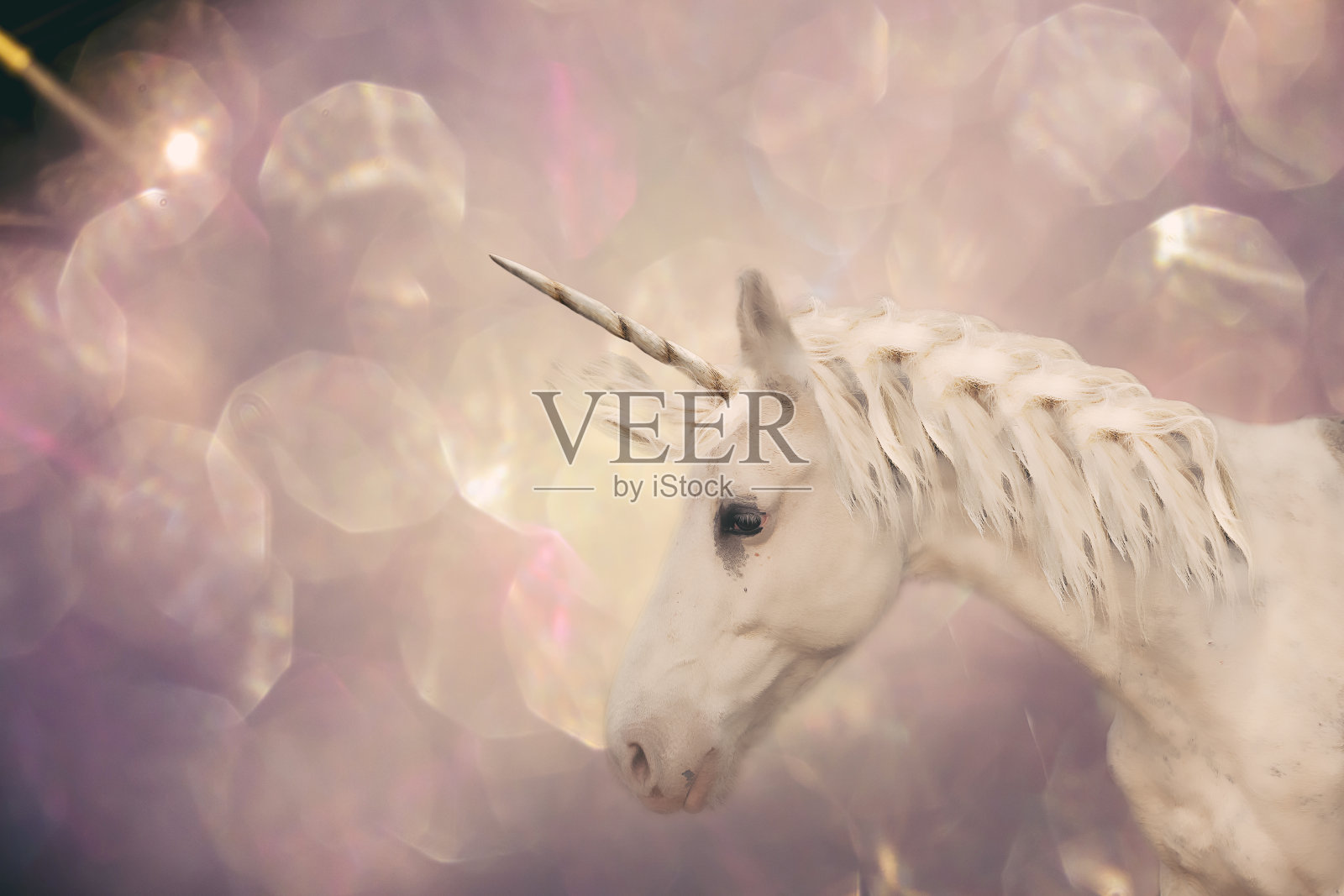 独角兽照片摄影图片