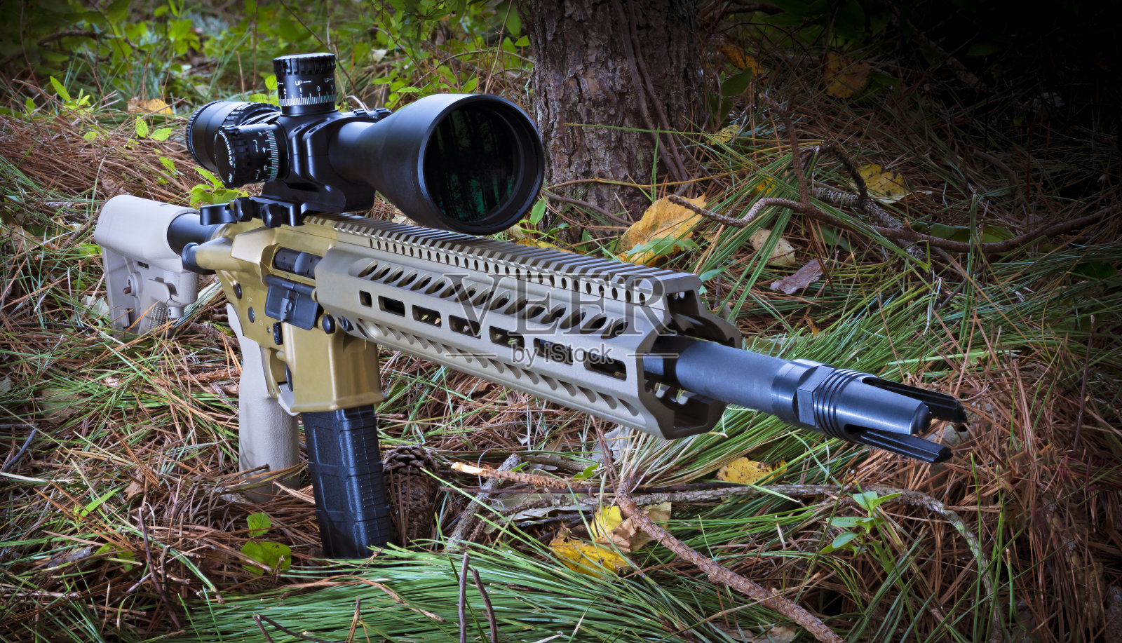 在森林地面上发现了AR-15照片摄影图片