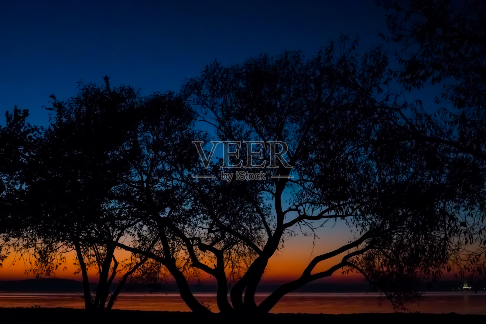 难以置信，明亮的夕阳越过水面，背景是一棵大树的剪影。白俄罗斯明斯克海,照片摄影图片