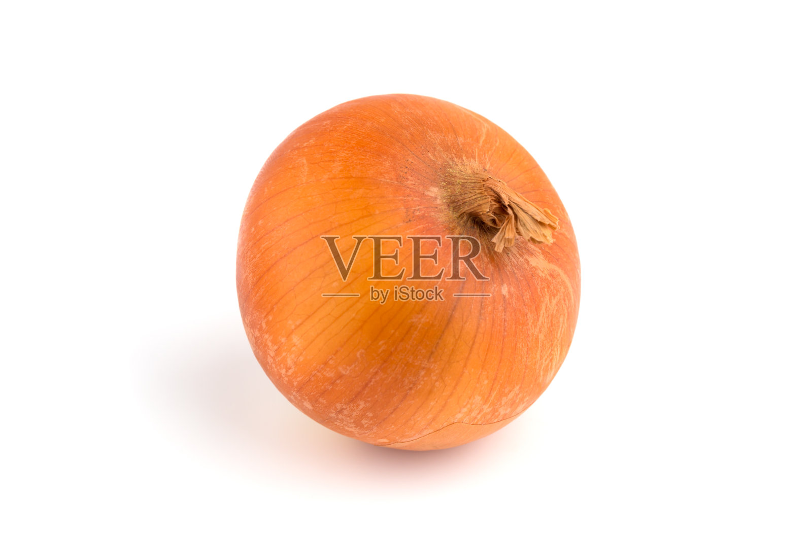 白色背景上的一个洋葱。未剥皮的新鲜球茎特写在一个白色的背景。照片摄影图片