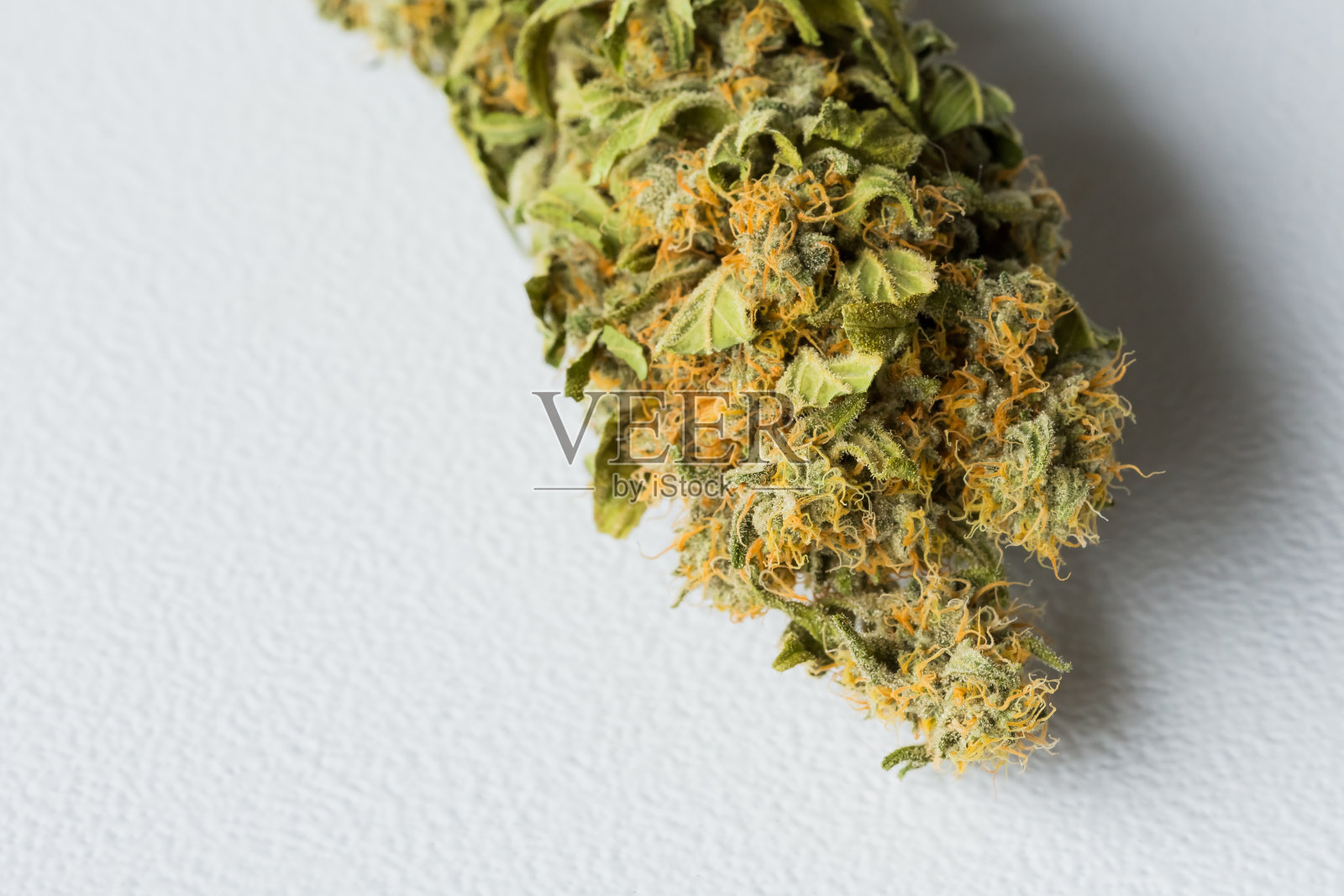 Macro close up of a dry Cannabis医用大麻照片摄影图片