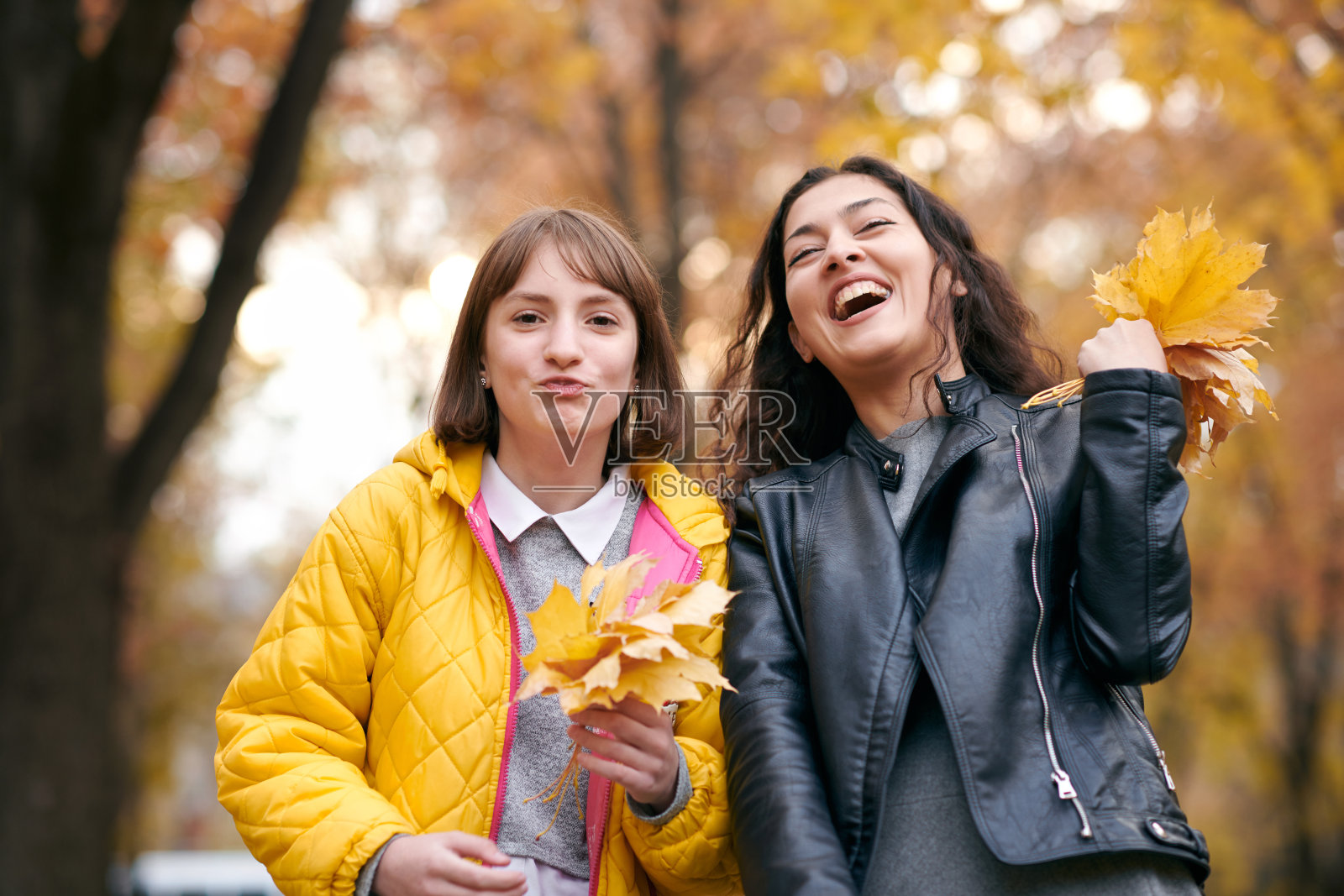 漂亮的女人和十几岁的女孩摆姿势与一束枫叶在秋天的公园。他们正在训练接吻。美丽的风景在秋天季节。照片摄影图片