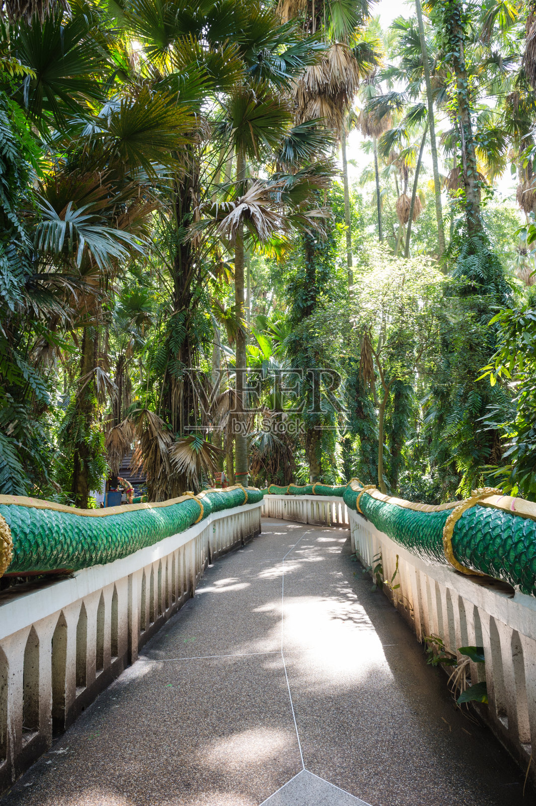 Kamchanod寺庙和森林保护区，乌东他尼，泰国照片摄影图片