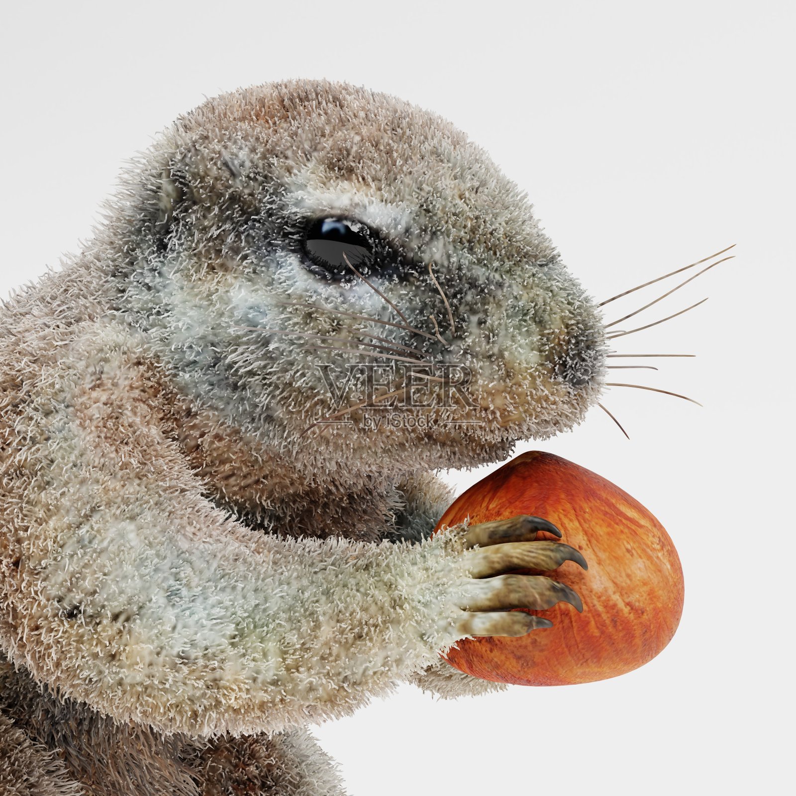 Cape squirrel的逼真3D渲染照片摄影图片