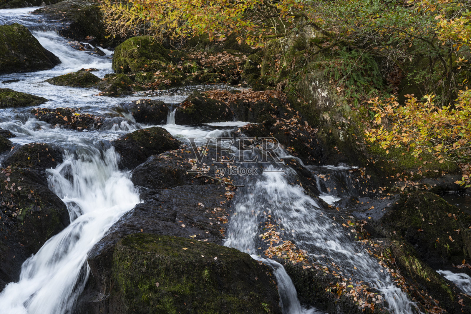 燕子瀑布瀑布在秋天照片摄影图片