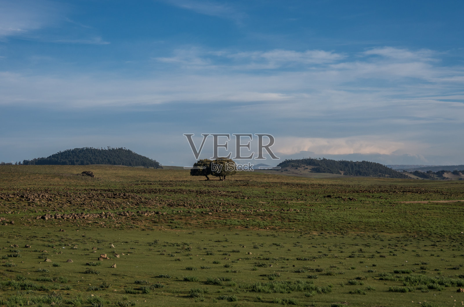 在中部阿特拉斯，阿兹鲁，摩洛哥高地草地和丘陵的景观照片摄影图片