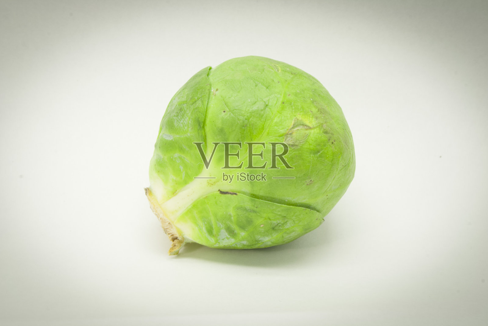 布鲁塞尔芽照片摄影图片