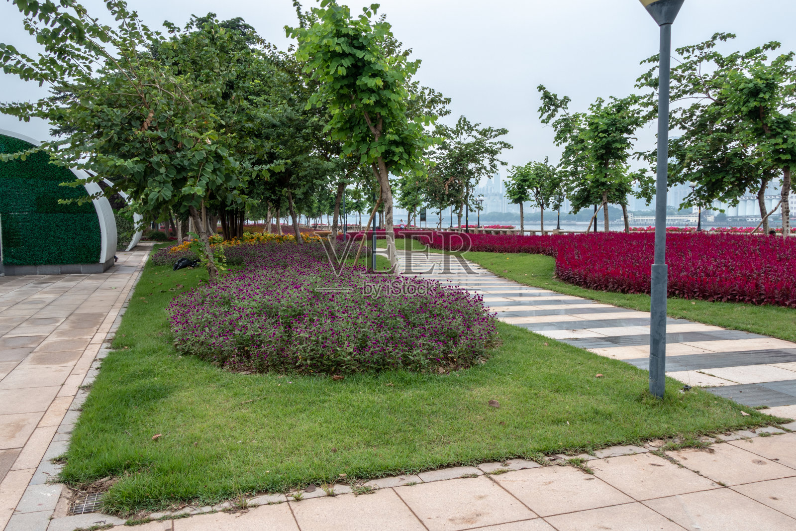 城市公园里的石头人行道。36、绿草坪，蓝天。草坪上的红花。照片摄影图片