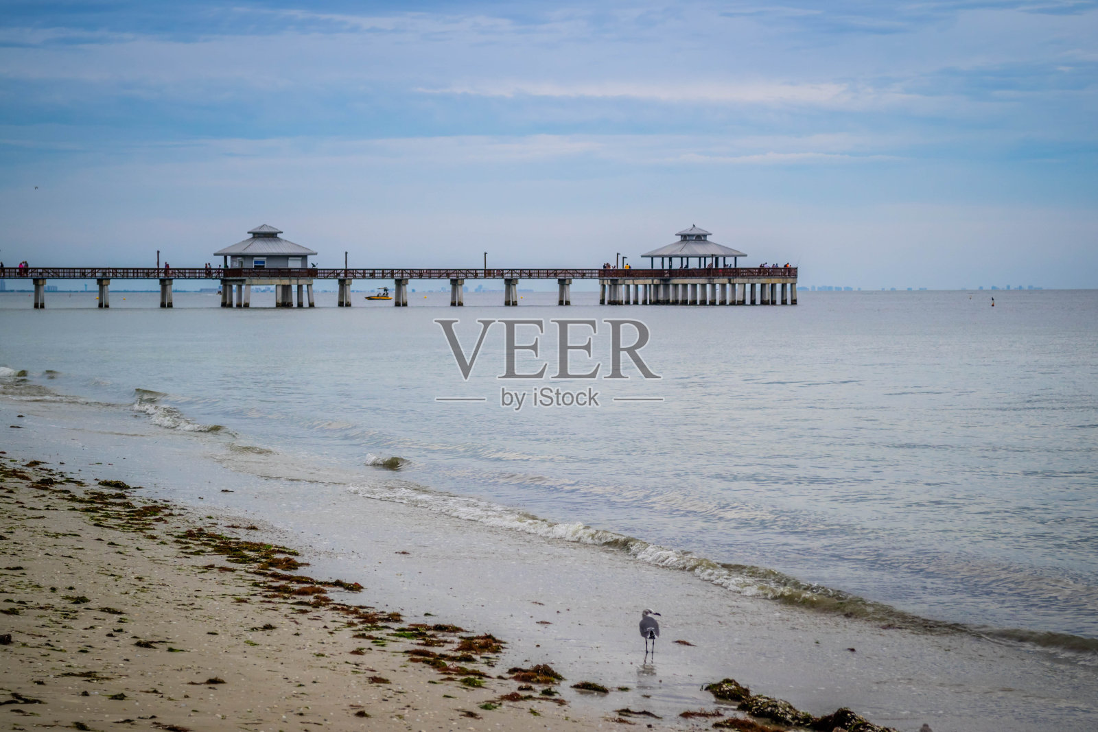 佛罗里达迈尔斯堡著名的钓鱼码头照片摄影图片