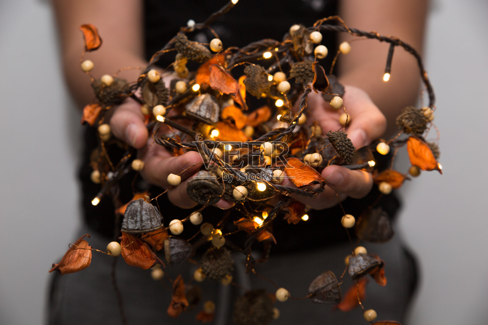 用树叶装饰的仙女灯照片摄影图片