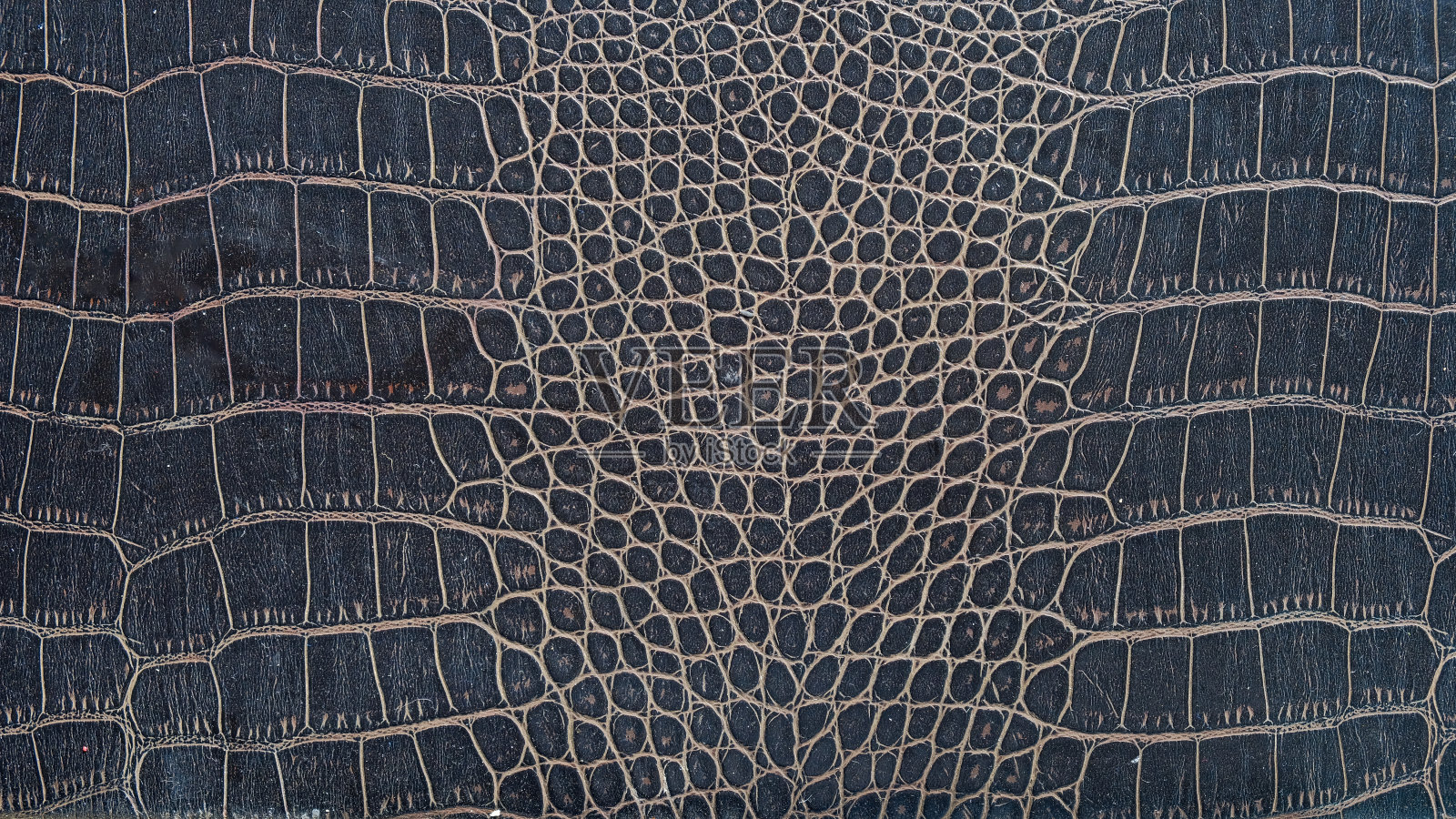 鳄鱼皮作为背景。照片摄影图片