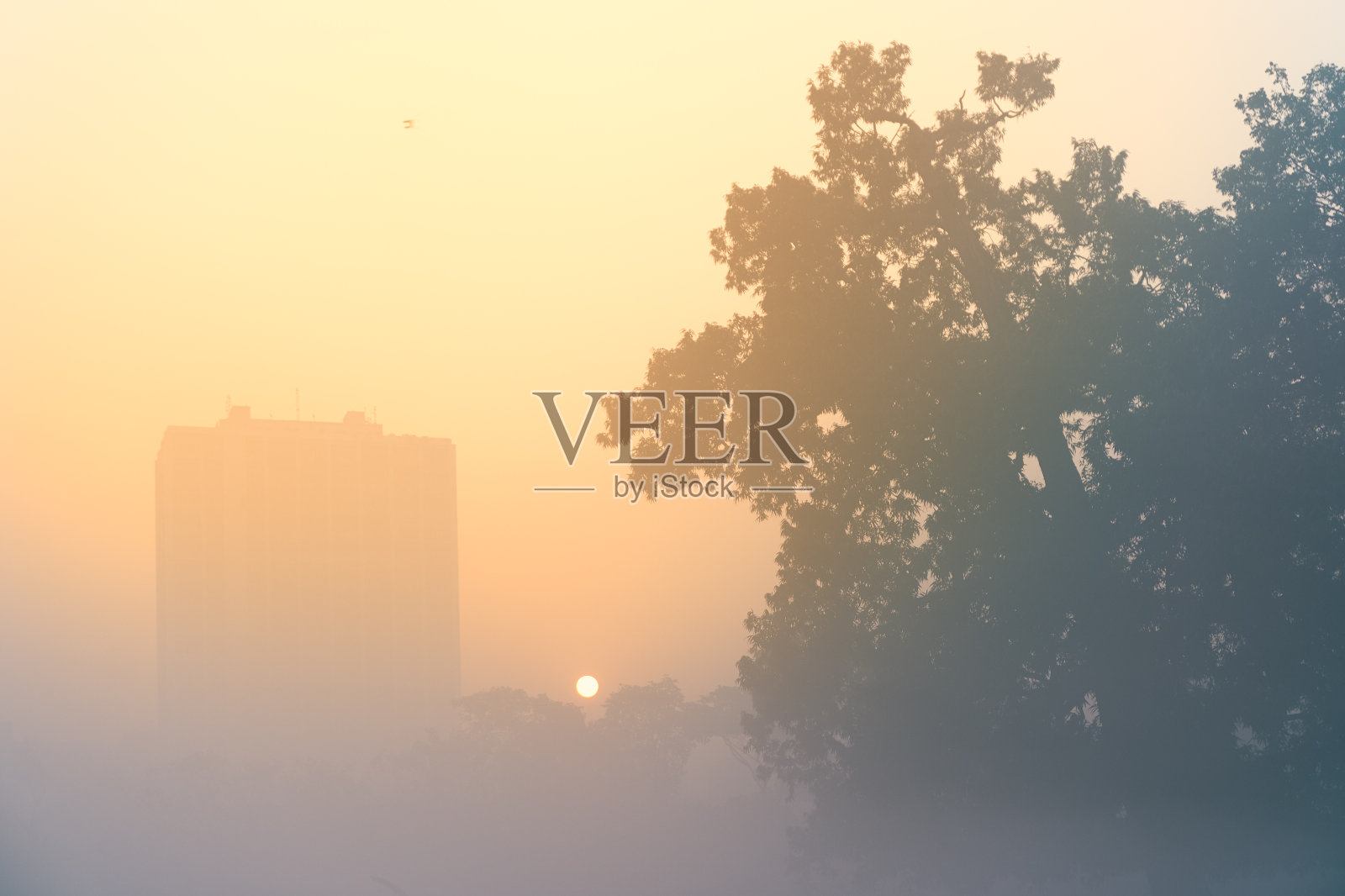 在加尔各答的日出。照片摄影图片