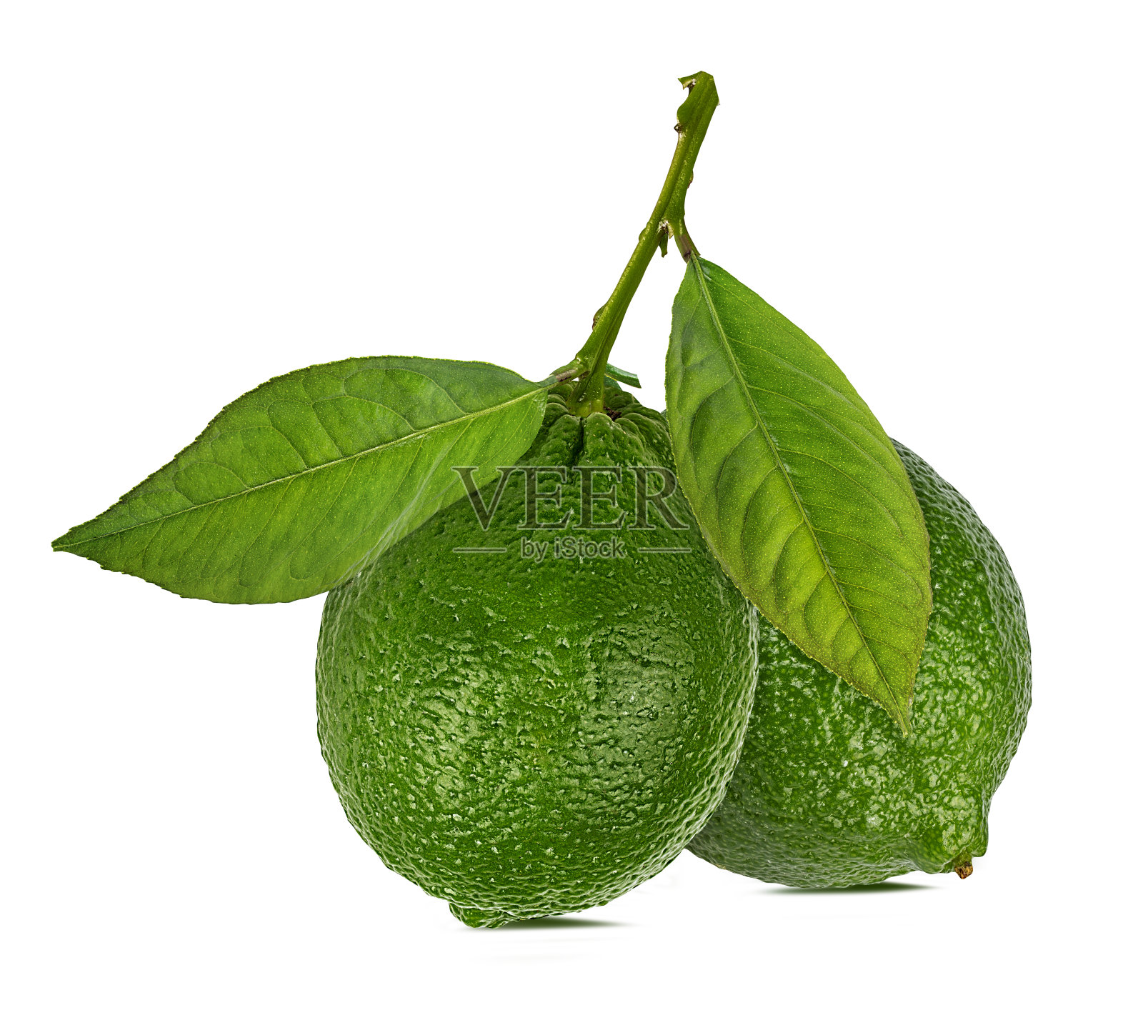 柠檬和柠檬的叶子孤立的白色背景与修剪路径照片摄影图片