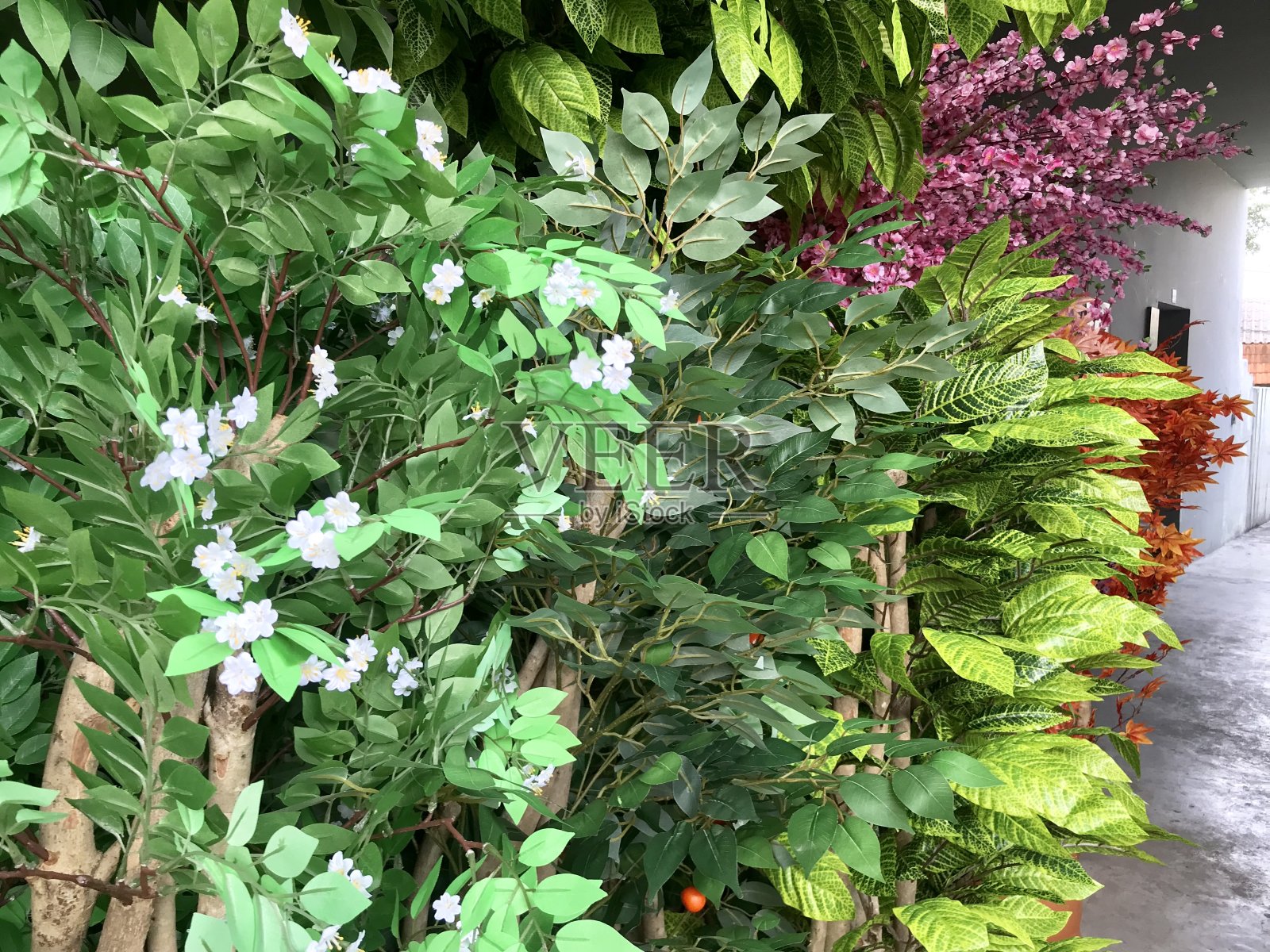 家居装饰用人造植物和花卉照片摄影图片