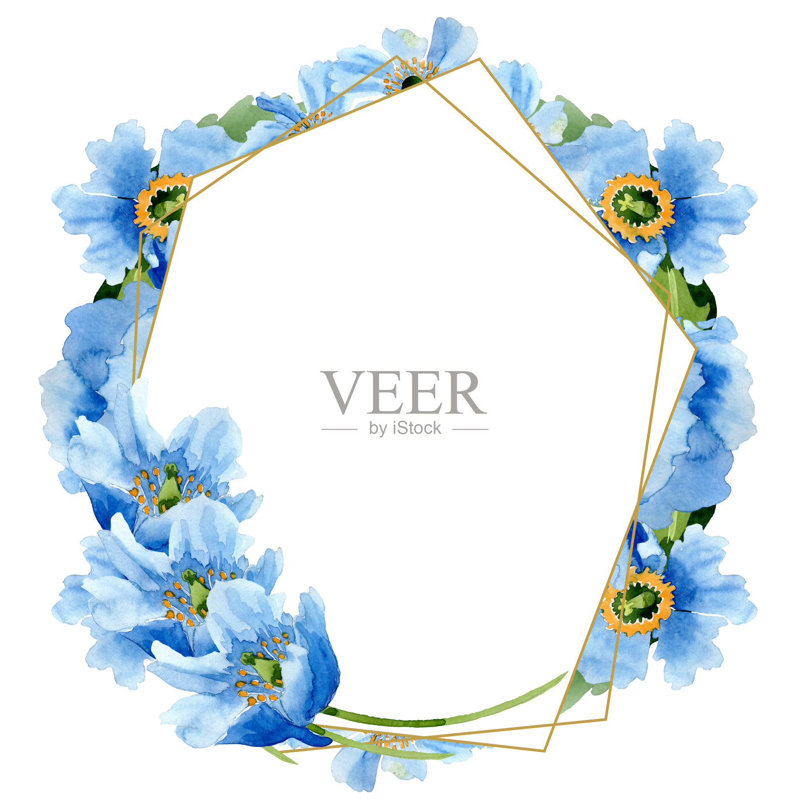 蓝色的罂粟。花卉植物的花。边框装饰方形。插画图片素材