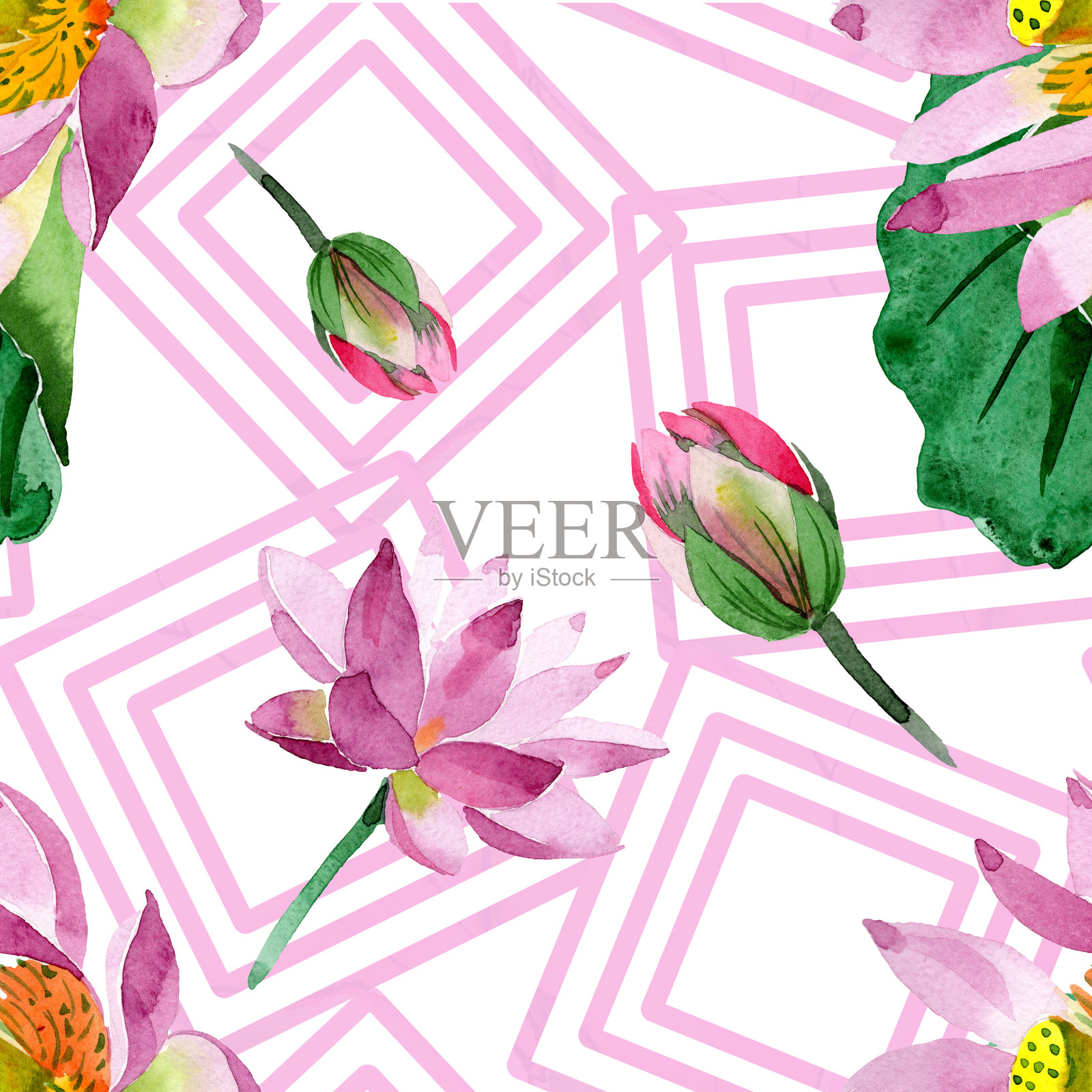 紫色的莲花。花卉植物的花。水彩背景插图集。无缝的背景图案。插画图片素材